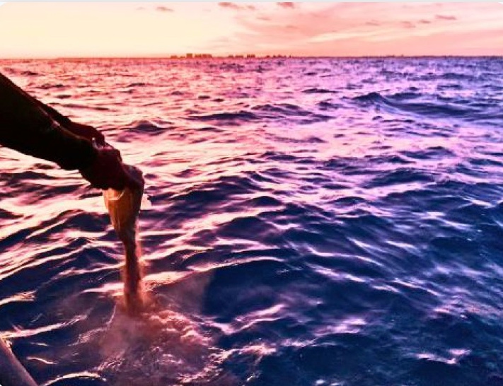 Scatter at sea image